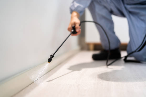 Licensed Rodent Control service in Cerro Gordo County County, IA - Nex Pest Control