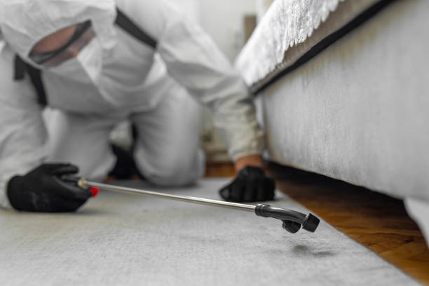 Professional Rodent Control technician working in Cerro Gordo County County, IA